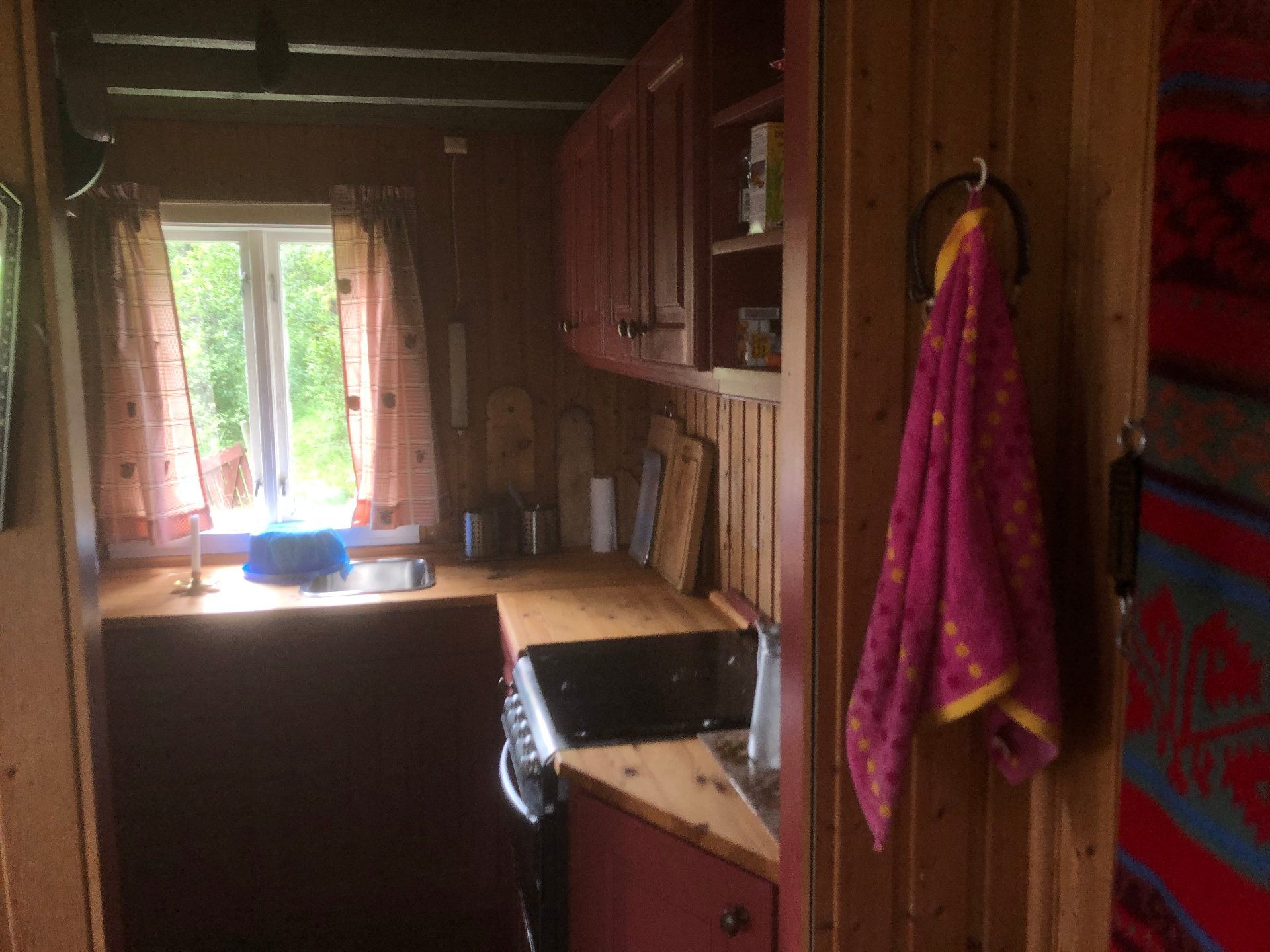 Lite kjøkken med raude skap og vindu ut mot skogen