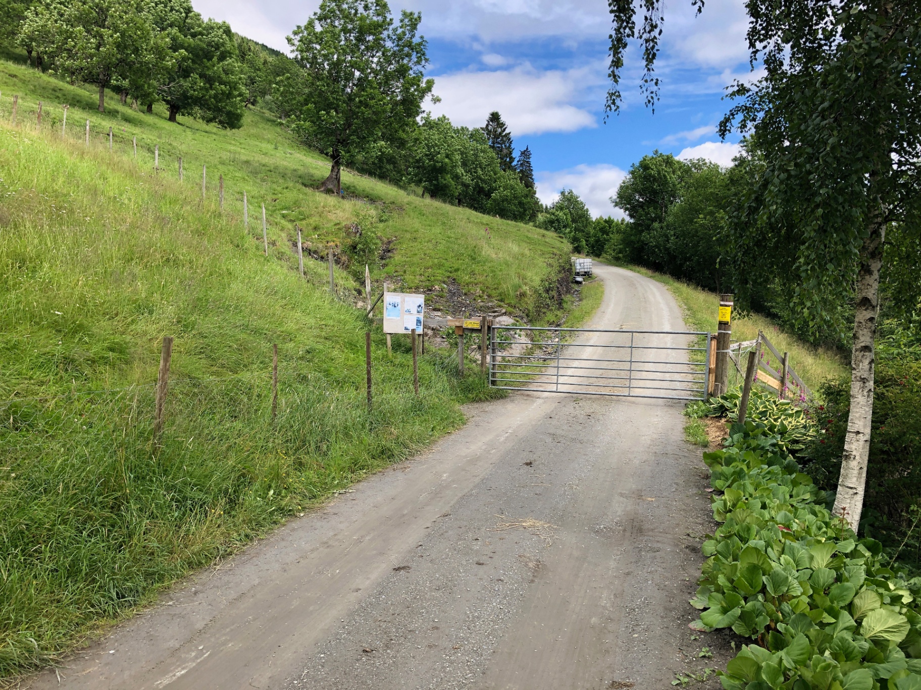 Grind og grusvei opp gjennom grøn eng ved Voss om sommaren