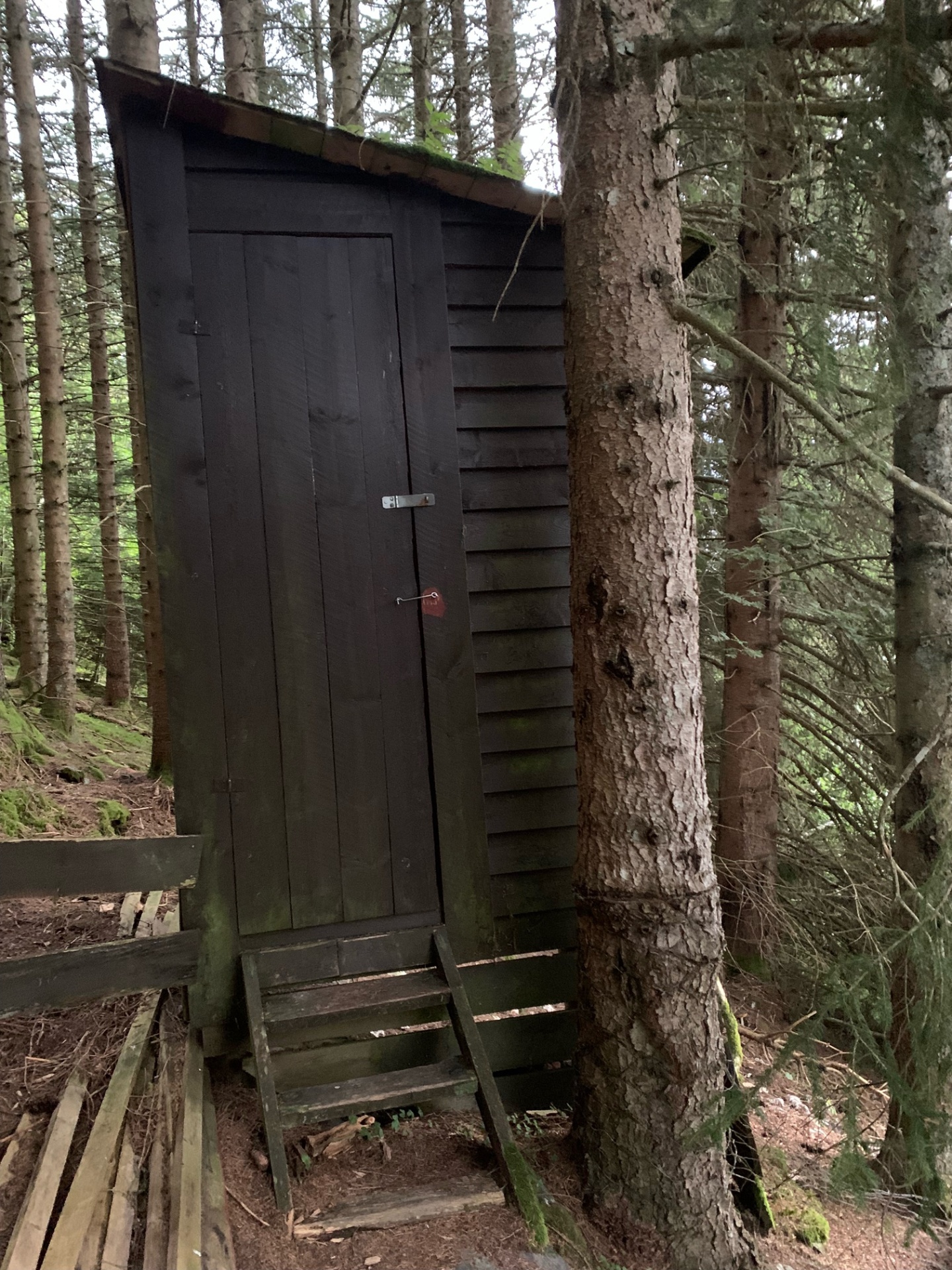 Mørk utedo mellom grantre i skogen ved hytta