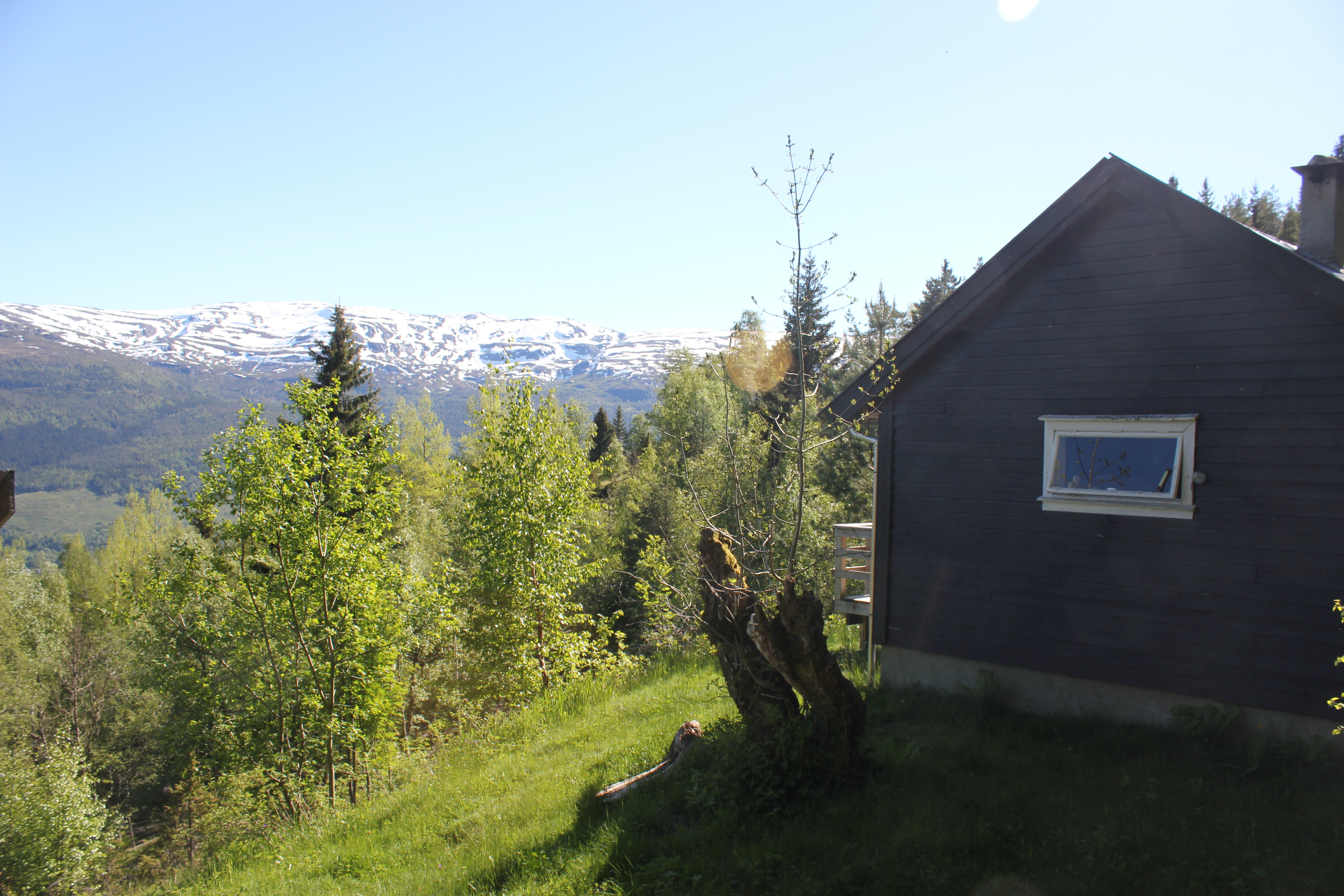 Hytta sett frå sida med utsikt over grøne tre og snødekte fjell ein sommardag