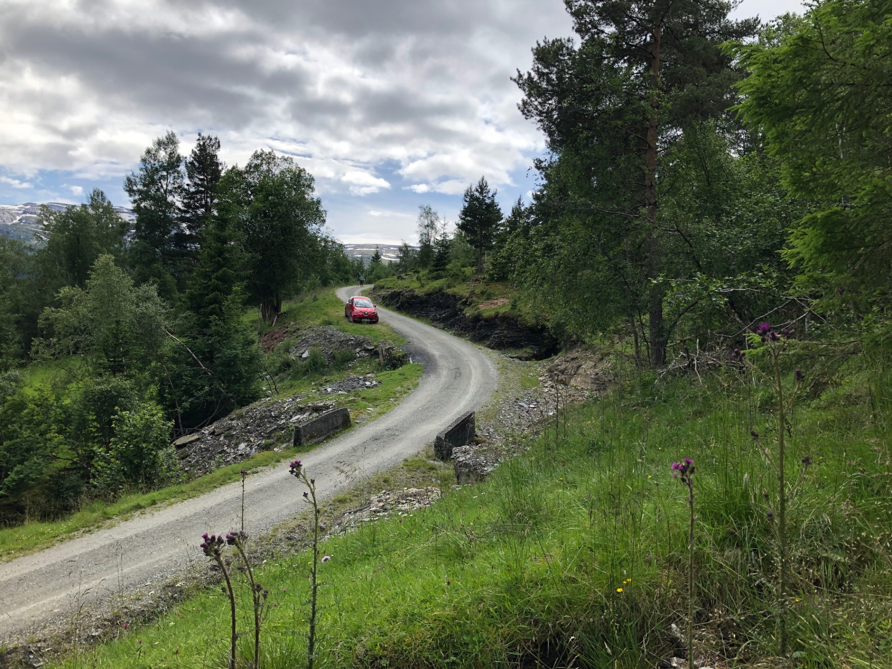 Svingete grusvei gjennom skogen i fjella over Voss