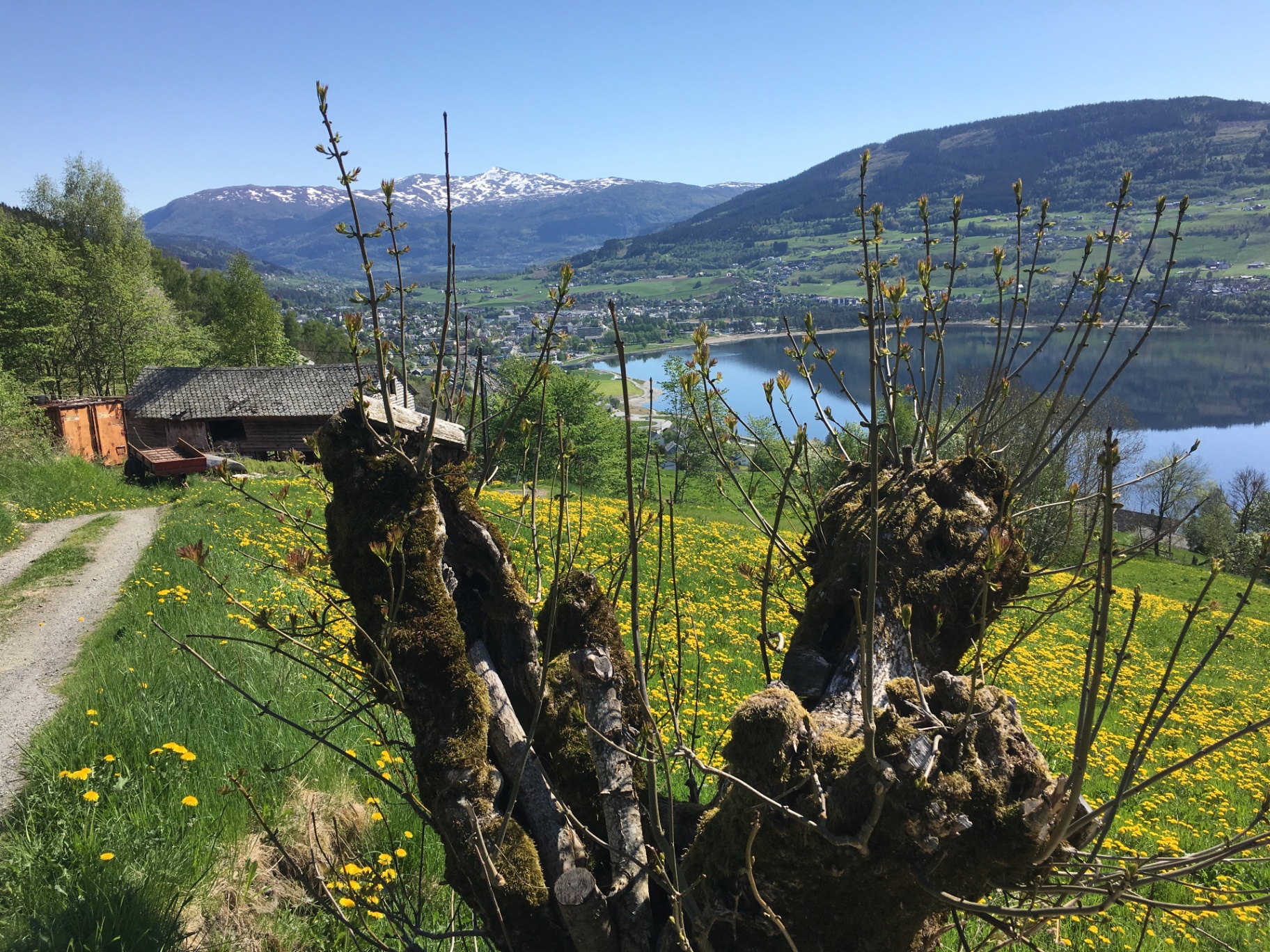 Utsikt over Vangsvatnet med snødekte fjell og gammal løe i åssida